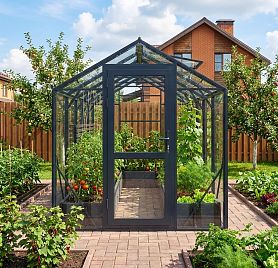 БИОНИКА Компакт