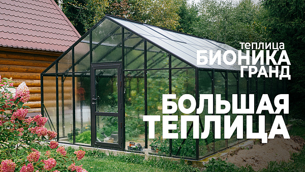 Проект теплицы BIONIKA Grand: фото установленного объекта